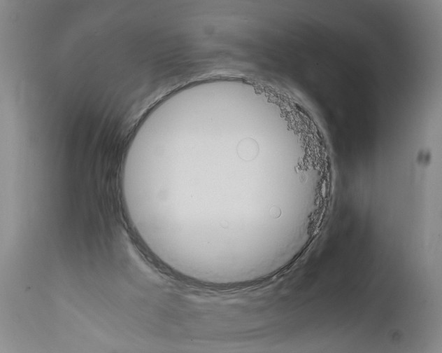 X0000111860009200909031802