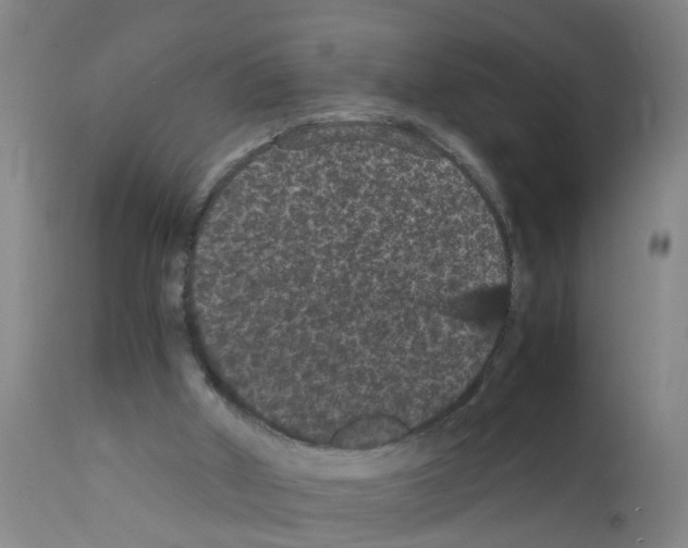 X0000111860010200909031802