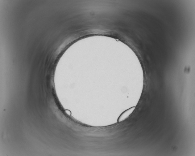 X0000111860011200909031802