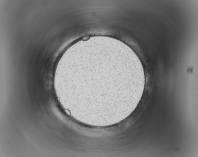 X0000111860012200909031802
