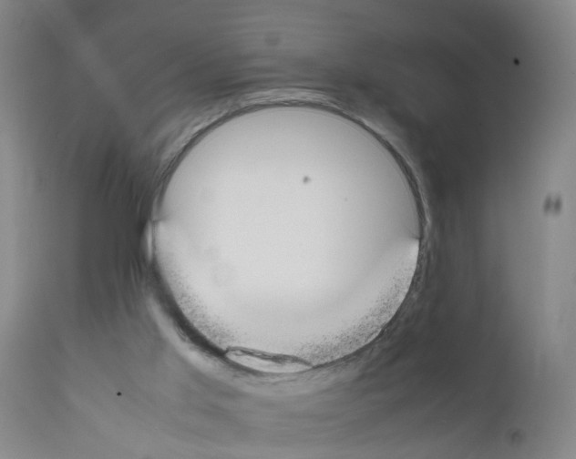 X0000111860013200909031802