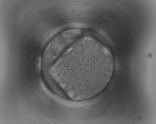 X0000111860014200909031802