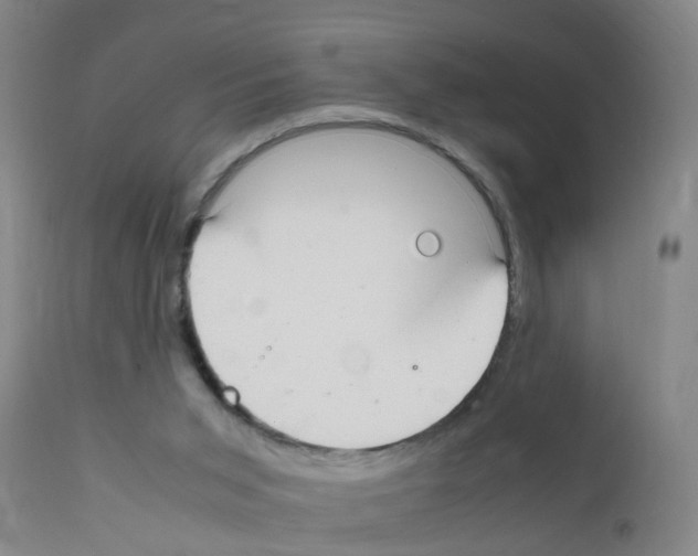 X0000111860015200909031802