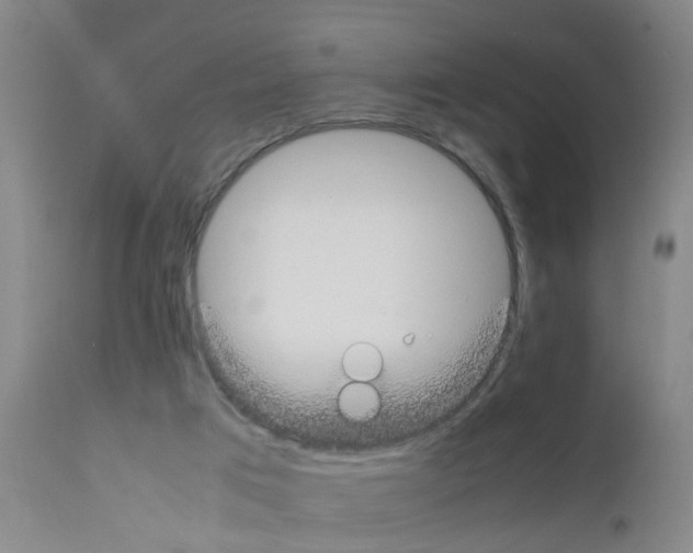X0000111860017200909031802