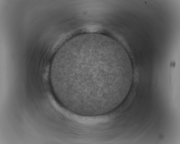 X0000111860018200909031802