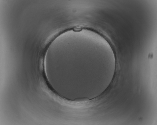 X0000111860019200909031802