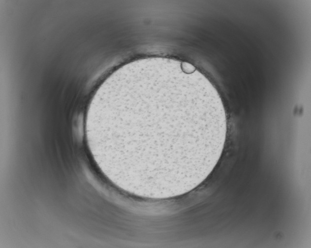 X0000111860020200909031802