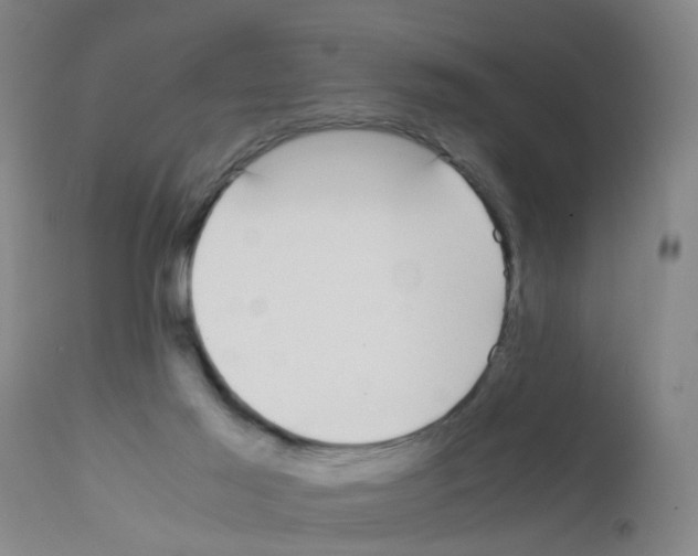 X0000111860021200909031802