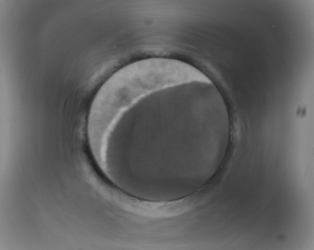 X0000111860023200909031802
