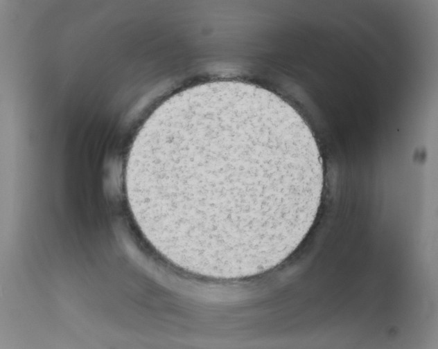 X0000111860024200909031802
