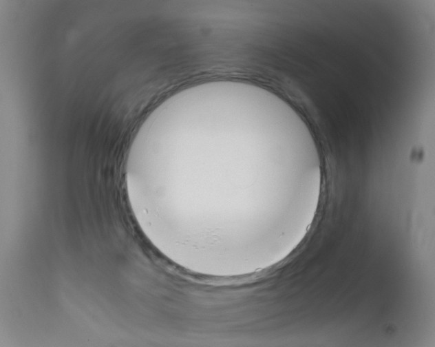 X0000111860025200909031802
