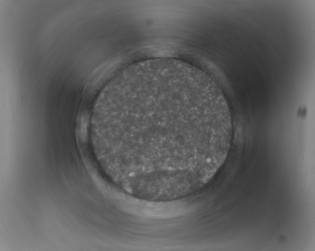 X0000111860026200909031802