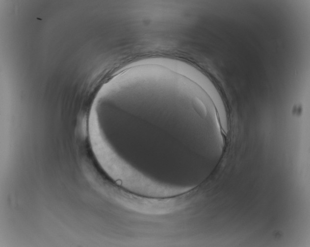 X0000111860027200909031802