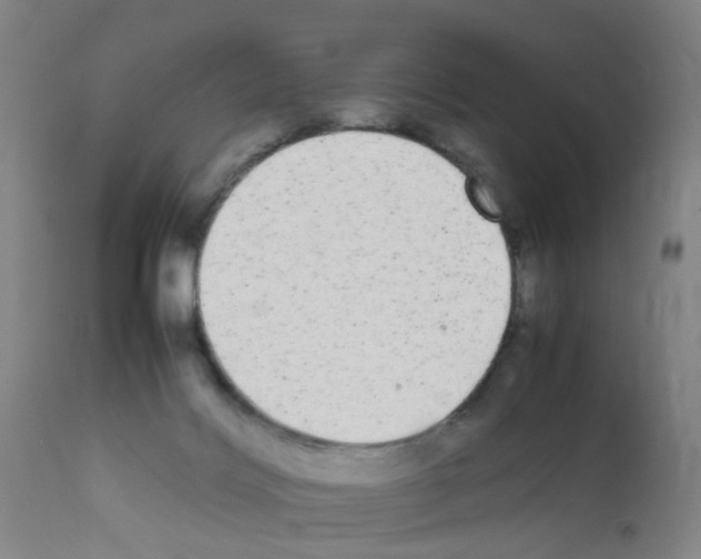 X0000111860028200909031802