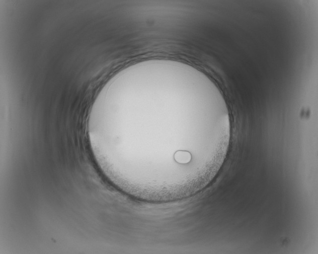 X0000111860029200909031802