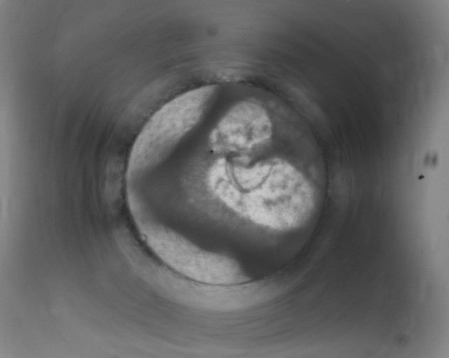 X0000111860030200909031802