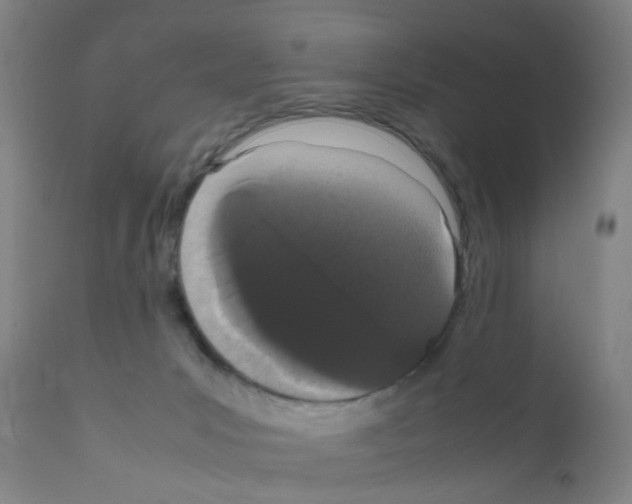 X0000111860031200909031802