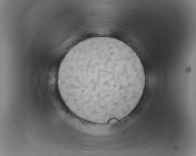 X0000111860032200909031802