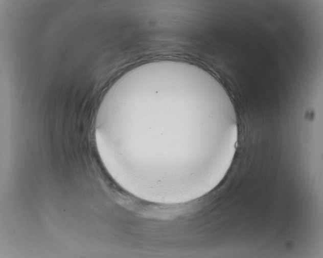X0000111860033200909031802