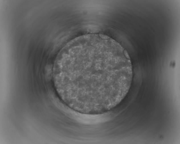 X0000111860034200909031802