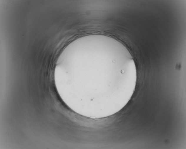 X0000111860035200909031802