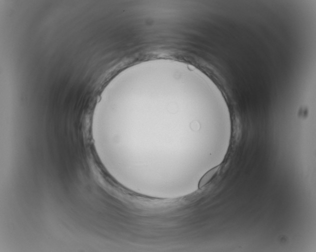 X0000111860036200909031802
