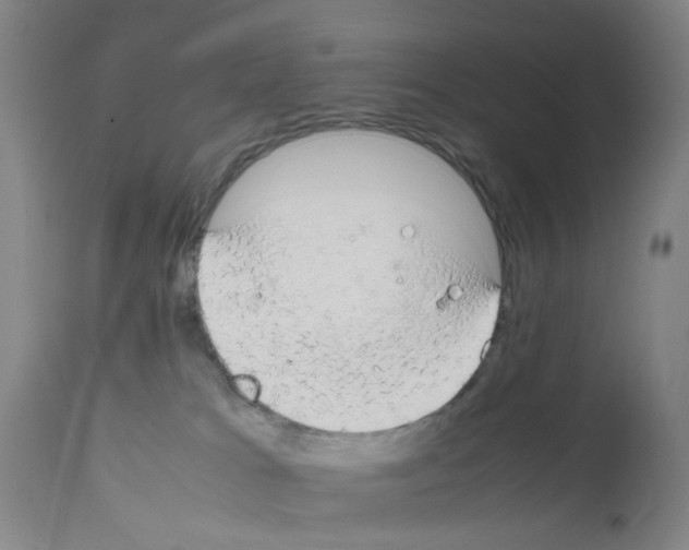 X0000111860037200909031802