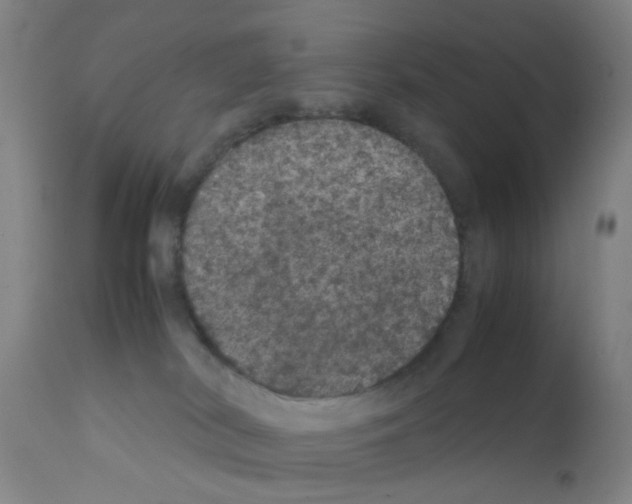 X0000111860038200909031802