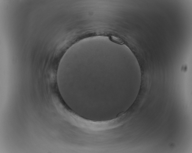 X0000111860039200909031802