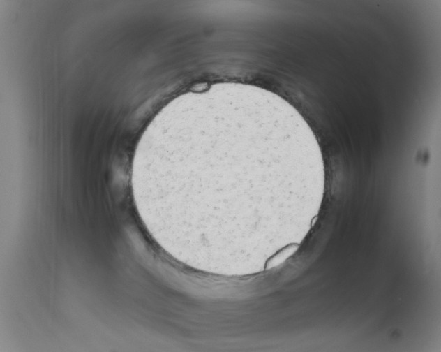 X0000111860040200909031802