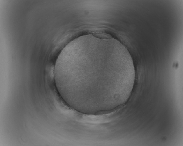 X0000111860041200909031802