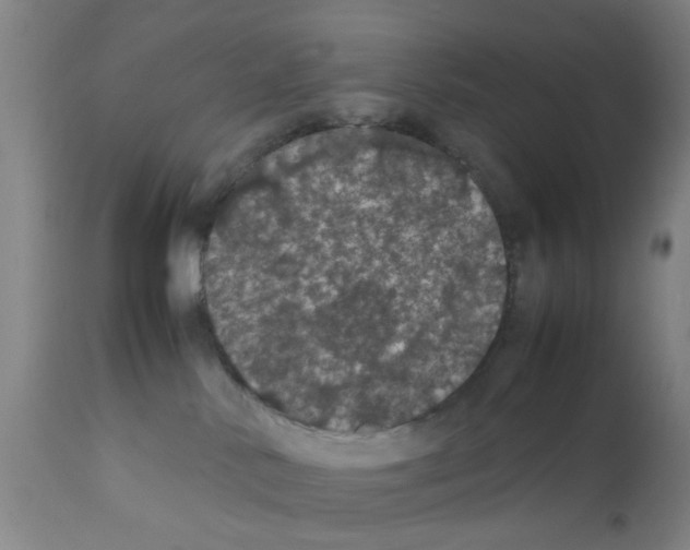 X0000111860042200909031802