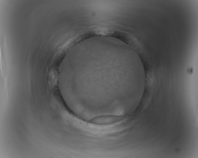 X0000111860043200909031802