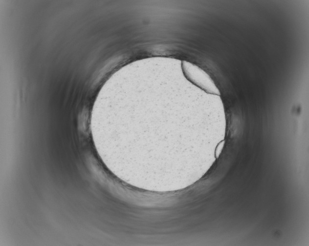 X0000111860044200909031802