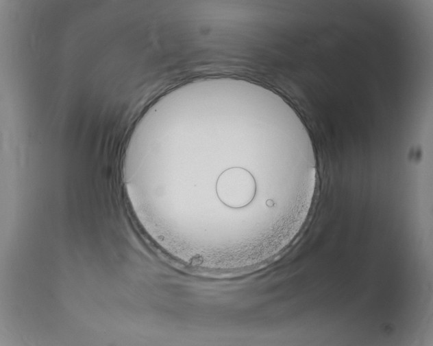 X0000111860045200909031802