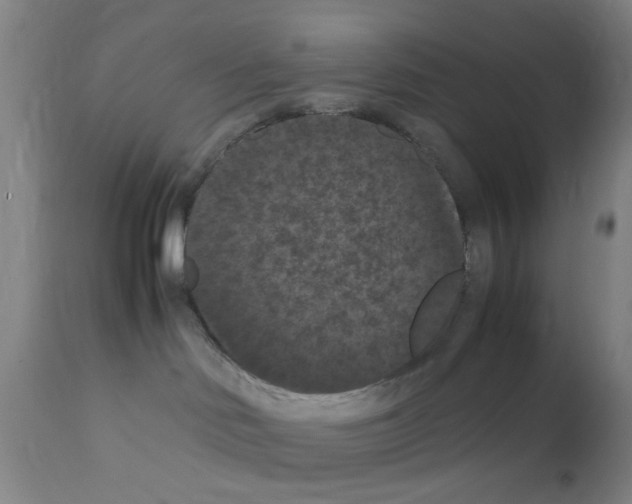 X0000111860046200909031802