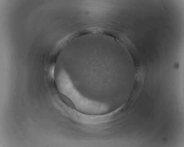 X0000111860047200909031802