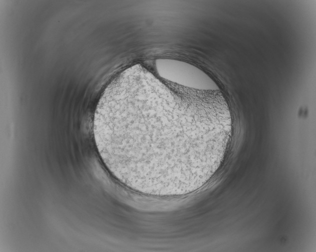 X0000111860048200909031802