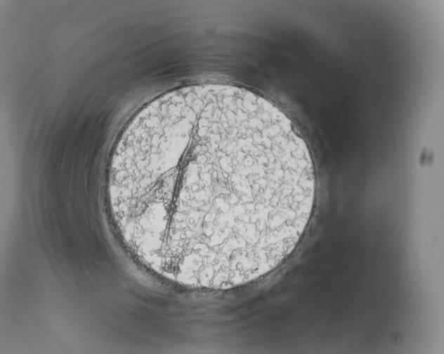X0000111860049200909031801