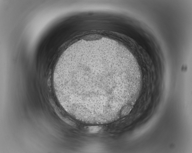 X0000111860050200909031801
