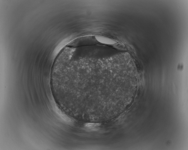 X0000111860051200909031801