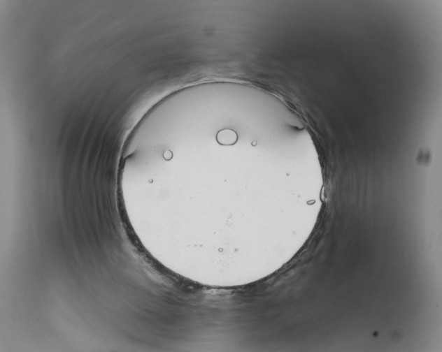 X0000111860052200909031801
