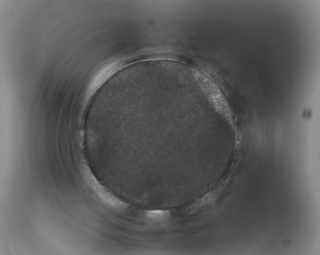 X0000111860053200909031801