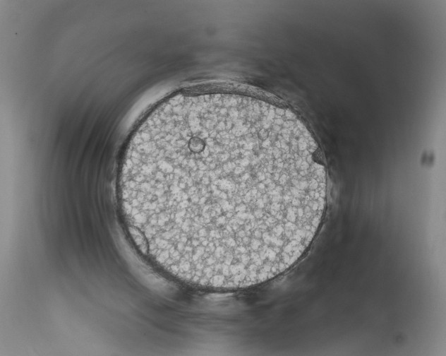 X0000111860054200909031801