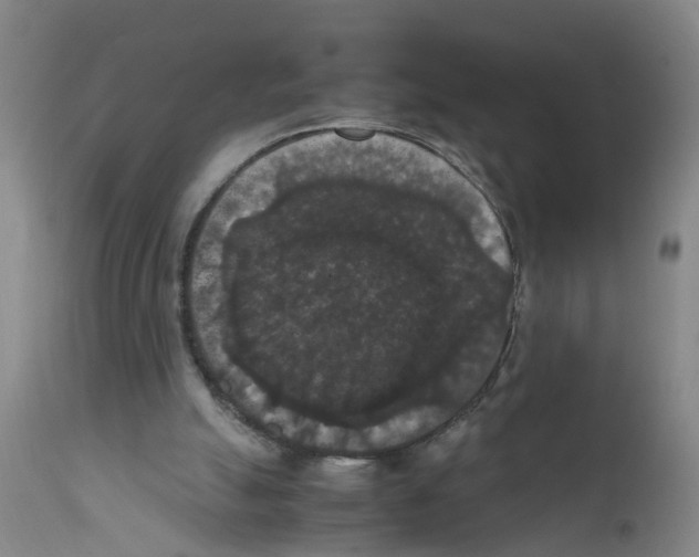 X0000111860055200909031801