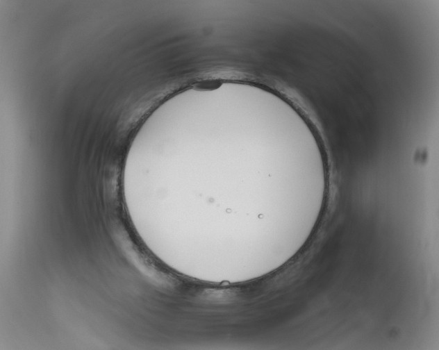 X0000111860057200909031801
