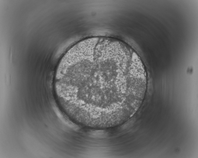 X0000111860058200909031801