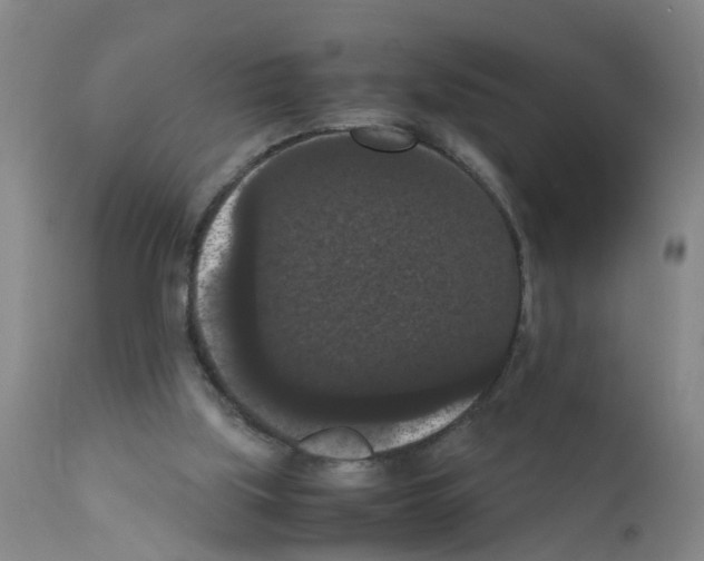 X0000111860059200909031801