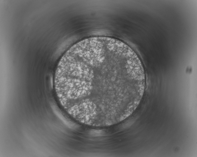 X0000111860061200909031801