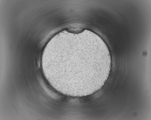 X0000111860062200909031801